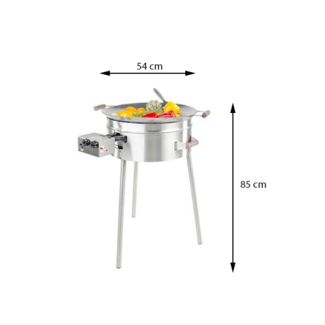 Gaasipõletiga wok pro-545