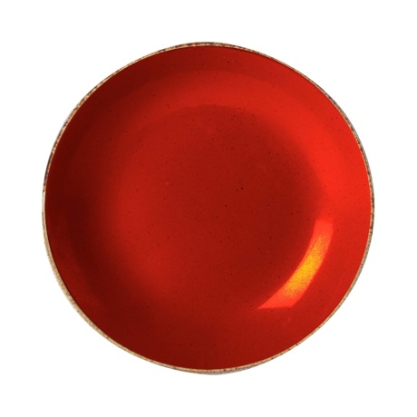Magma coupe plate, 260mm