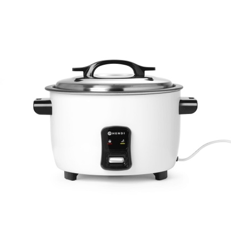 Riisikeetja 4,2l budget