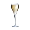 Brio flute šampanjaklaas, 160ml