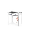 Gaasigrill 2 põletit