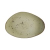 Olive orgaanilise kujuga taldrik, 350x210mm